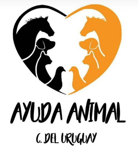 ayuda animal