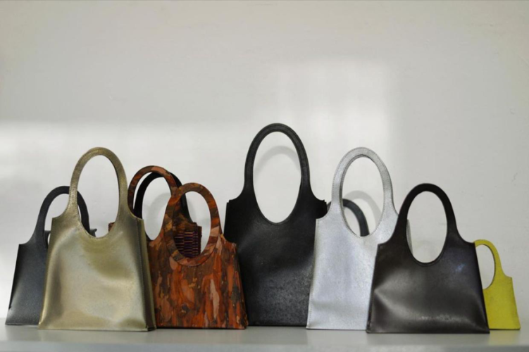 BOLSA-4