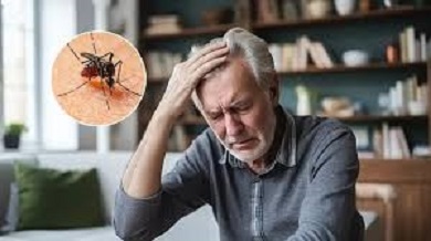 Sintomas dengue