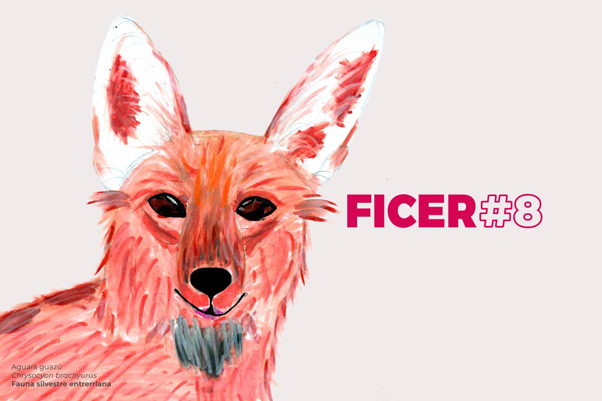 El aguará guazú fue elegido como la imagen oficial de la octava edición del FICER