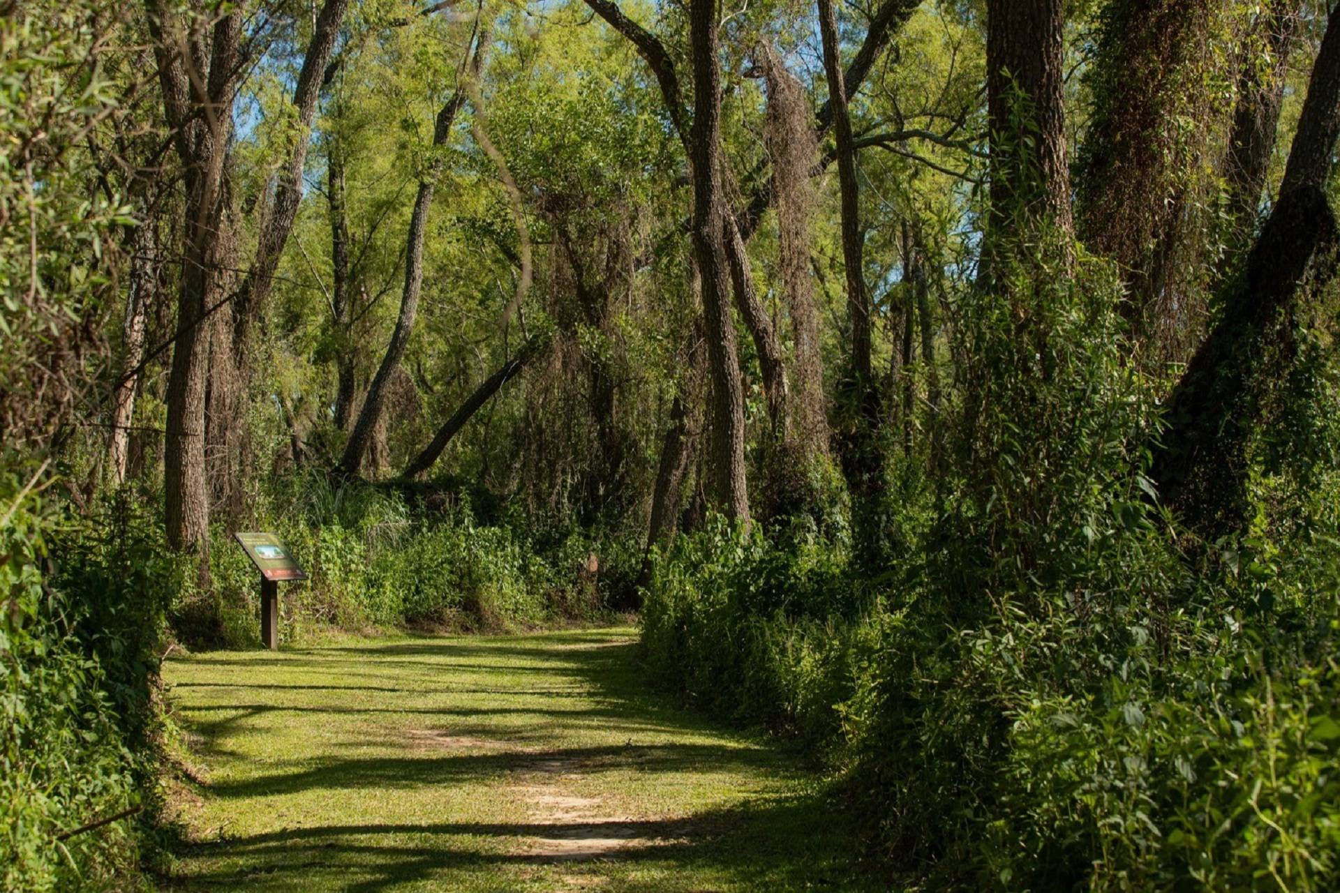 El Museo Serrano brindará un ciclo formativo sobre flora autóctona y ecosistemas entrerrianos